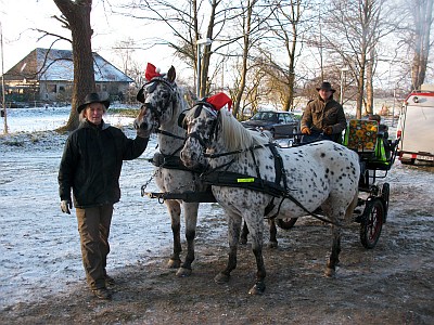 Weihnachtsmarkt 10 008