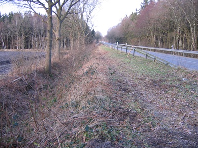 Radweg 2011005