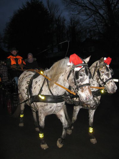 Weihnachtsmarkt 12-021